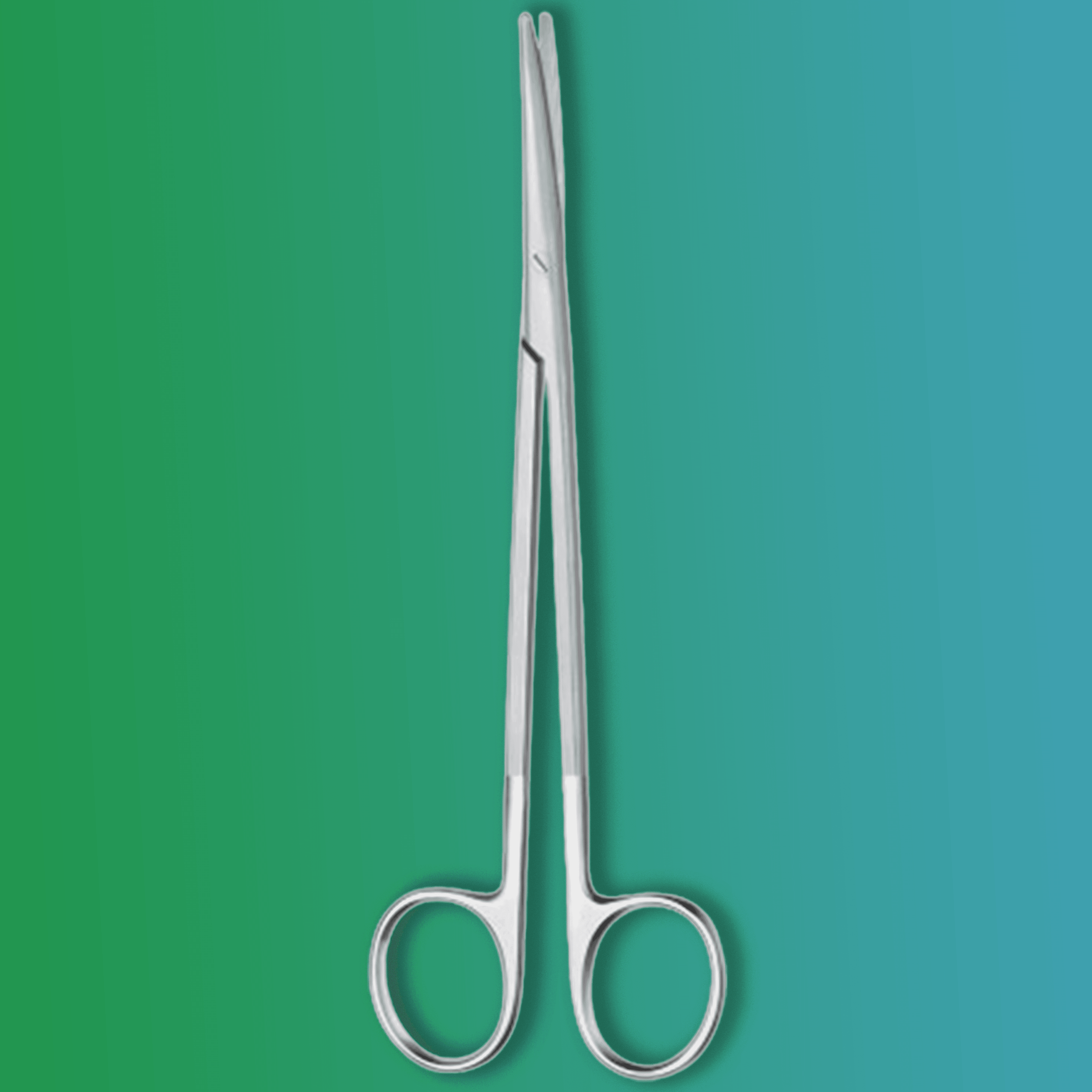 Delicate Dissecting Scissors